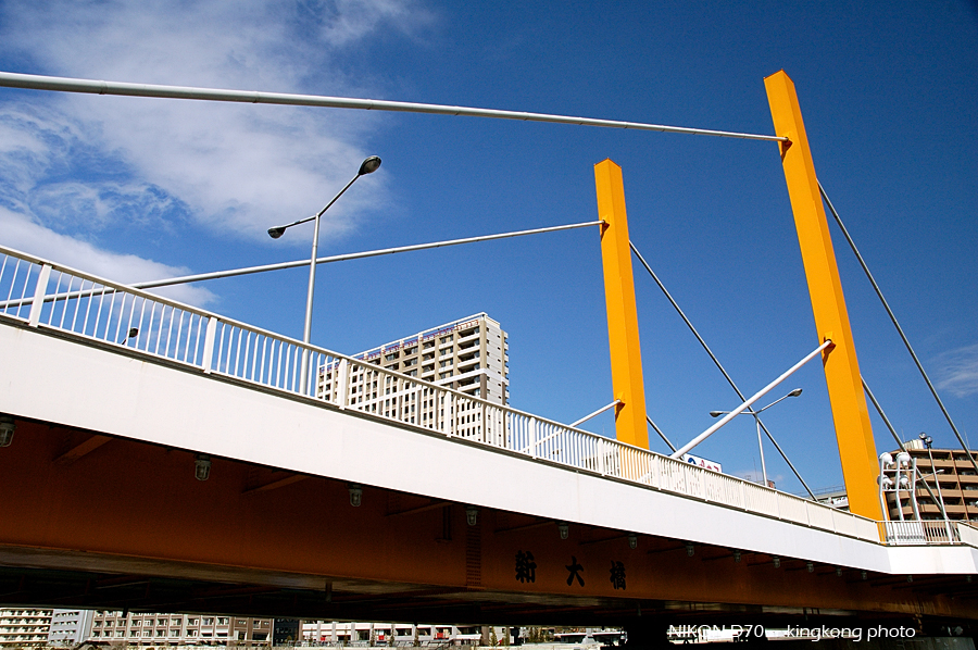 shin-ohashi bridge03.jpg - 淺草  台場 - 觀光船